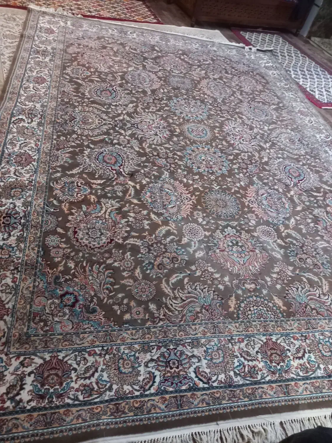 فرش ۱۲ متری افشان|فرش|میمه, |دیوار