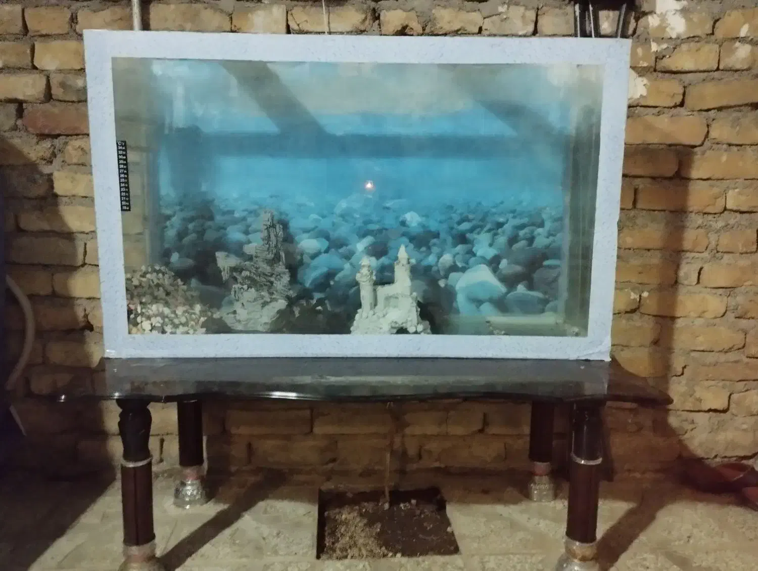 آکواریوم|ماهی|تربتحیدریه, داروپخش|دیوار