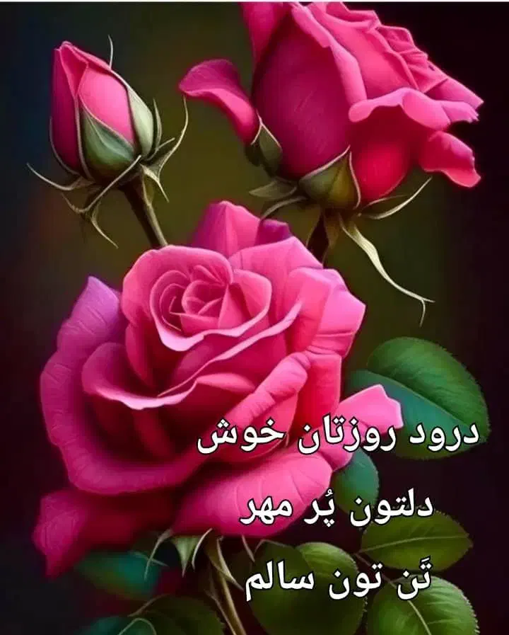 اجاره خانه ویلایی ۲۰۰ متری ۱ خوابه|اجارهٔ خانه و ویلا|اردبیل, |دیوار