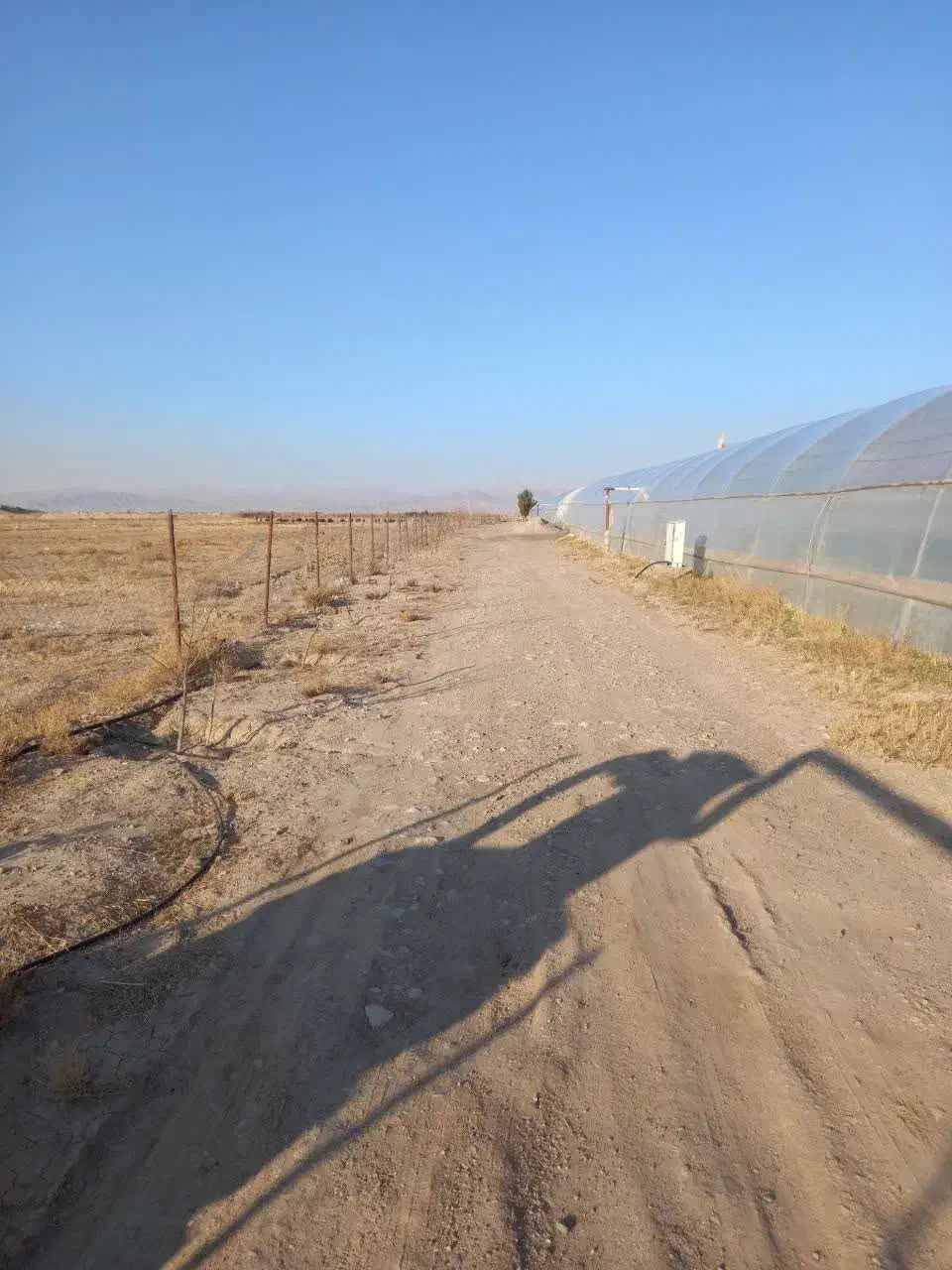 باغ|فروش دفتر صنعتی، کشاورزی، تجاری|فیروزه, |دیوار