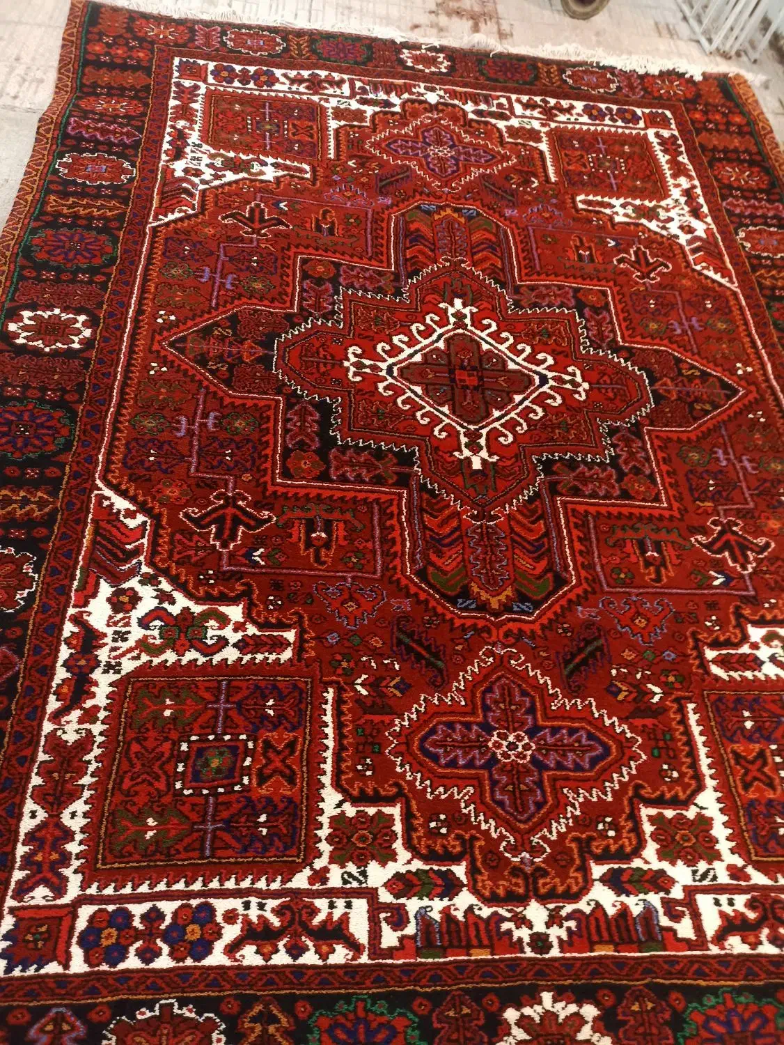 ۱۲متری نو چاغلا|فرش|بناب, |دیوار