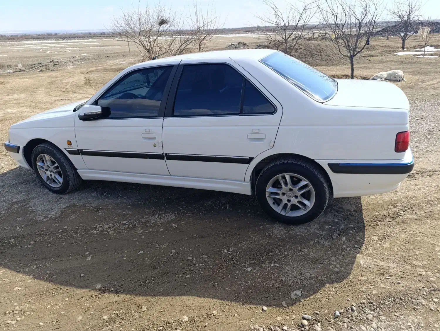 پرشیا|خودرو سواری و وانت|پلدشت, |دیوار