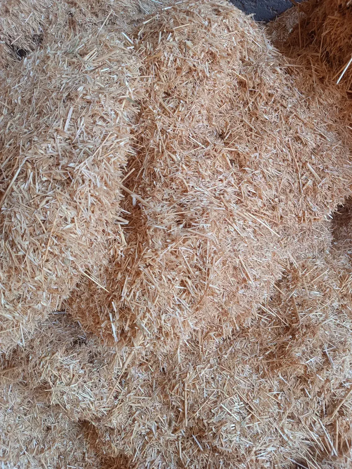 فروش تفاله و یونجه و کاه نرم گندم|عمدهفروشی|گنبد کاووس, |دیوار