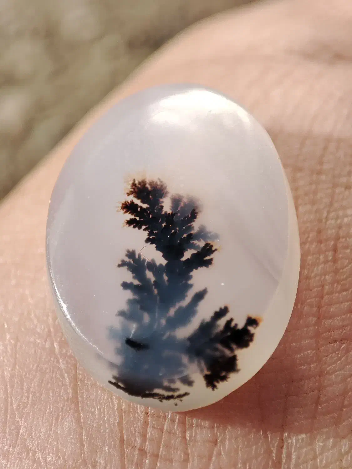 شجر|جواهرات|نورآباد, |دیوار