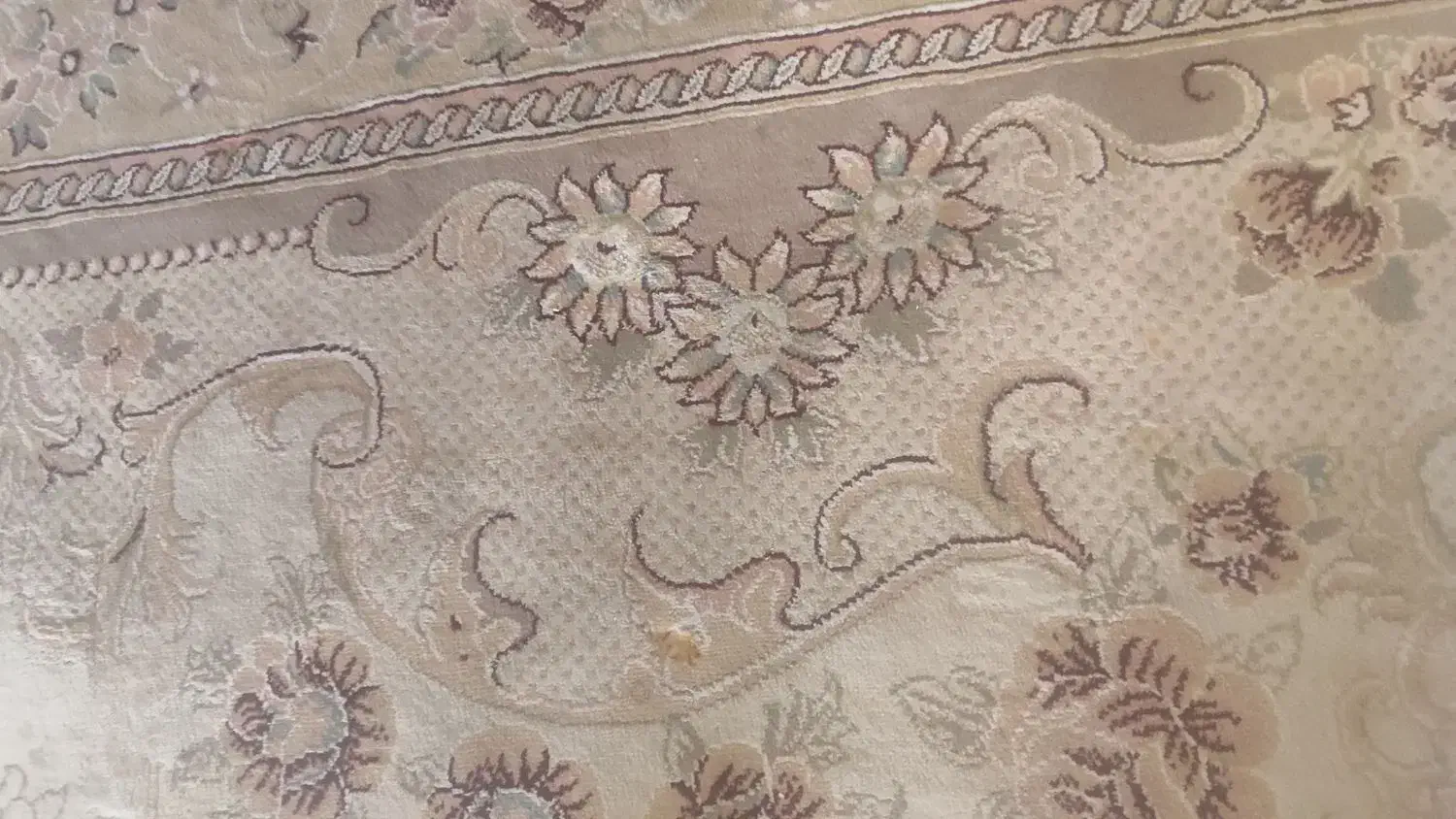 فرش۹متری|فرش|قرچک, زیبا شهر|دیوار