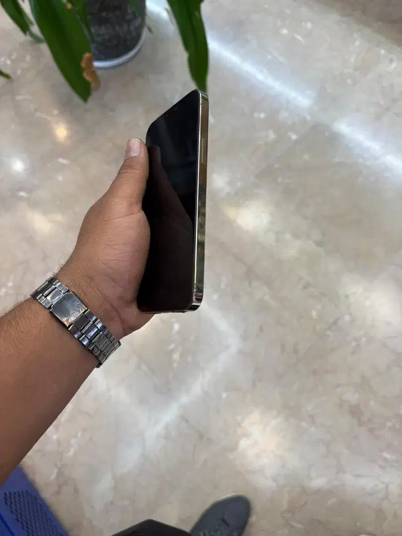 iphone 12pro|موبایل|کرمان, |دیوار