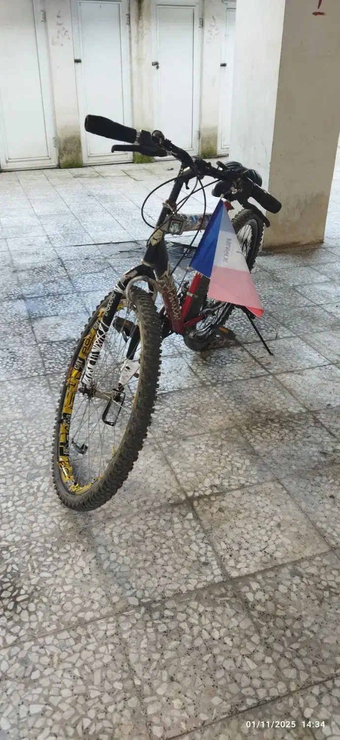 دوچرخه|دوچرخه، اسکیت، اسکوتر|آستارا, |دیوار