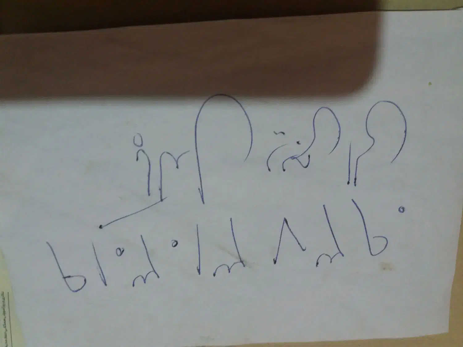 دیجی الی..شادی بخش مجلس شما|خدمات پذیرایی، مراسم|گرگان, |دیوار