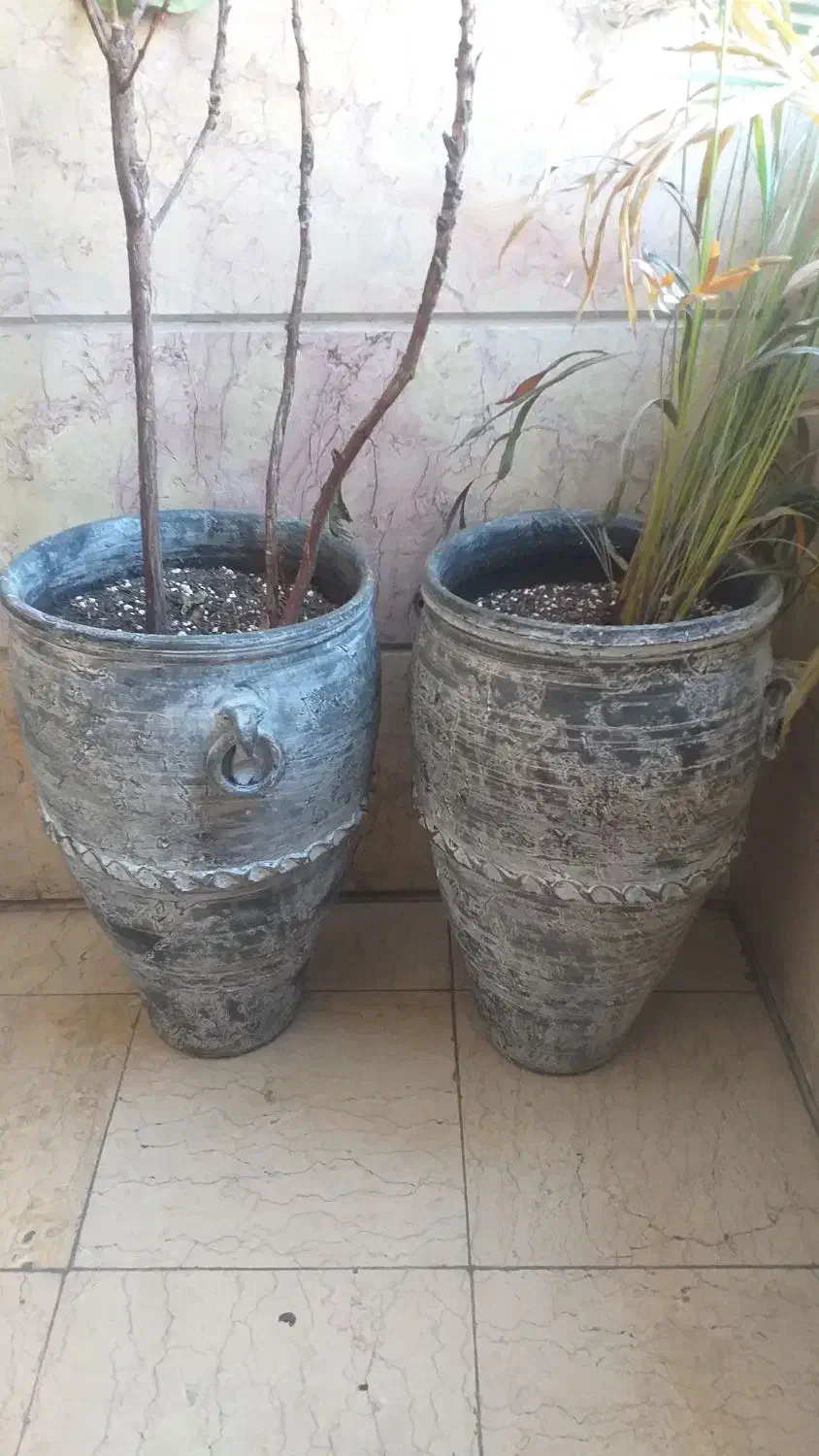 گلدان کوزه ای دهنه ۶۰   سانت دو عدد|گل و گیاه طبیعی|تهران, صادقیه|دیوار