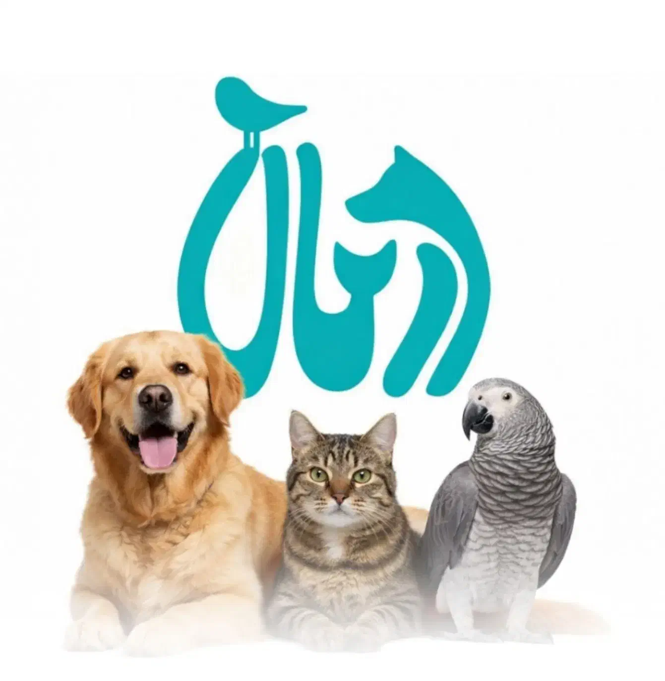 کلینیک حیوانات خانگی درمـان - دامپزشک همه‌روزه|خدمات پیشه و مهارت|تهران, گلستان (شهرک راه آهن)|دیوار