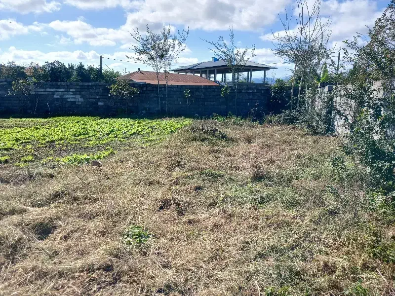 زمین پیشنهادی برای ساخت ساز،طرح هادی|فروش زمین و ملک کلنگی|رضوانشهر, |دیوار