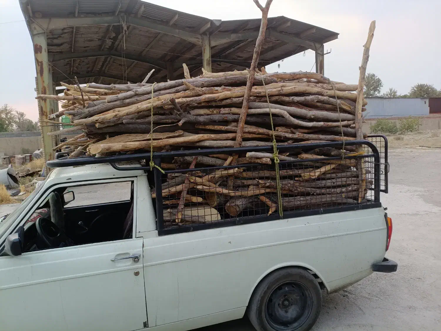 خریدار هرگونه چوب هرسی و....|خدمات باغبانی و درختکاری|شهریار, دهشاد بالا|دیوار