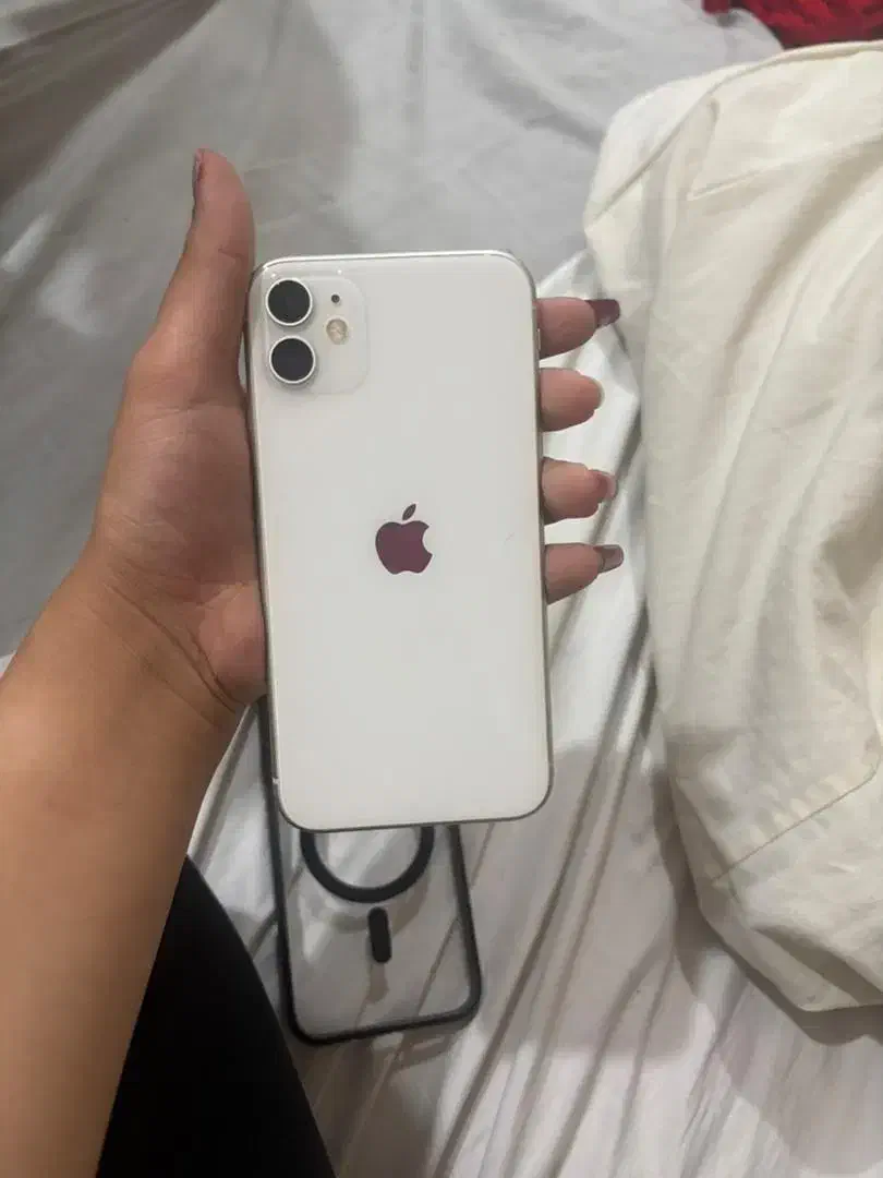 iPhone 11|موبایل|بوشهر, |دیوار