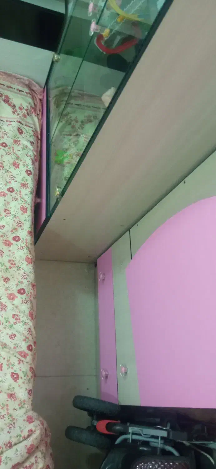 کمد و دکوری بچه|اسباب و اثاث بچه|ساوه, |دیوار