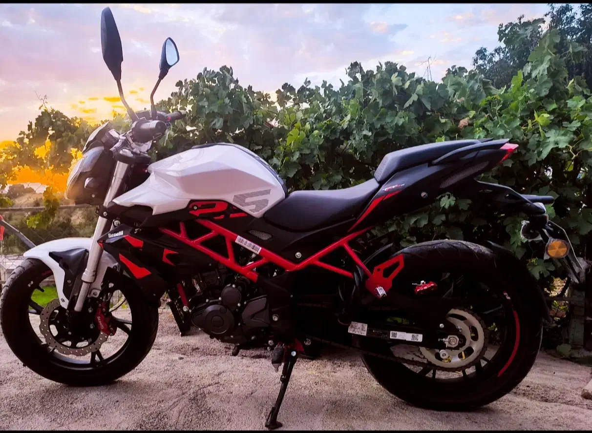 موتور سیکلت بنلی نیوفیس|موتورسیکلت|بوشهر, |دیوار