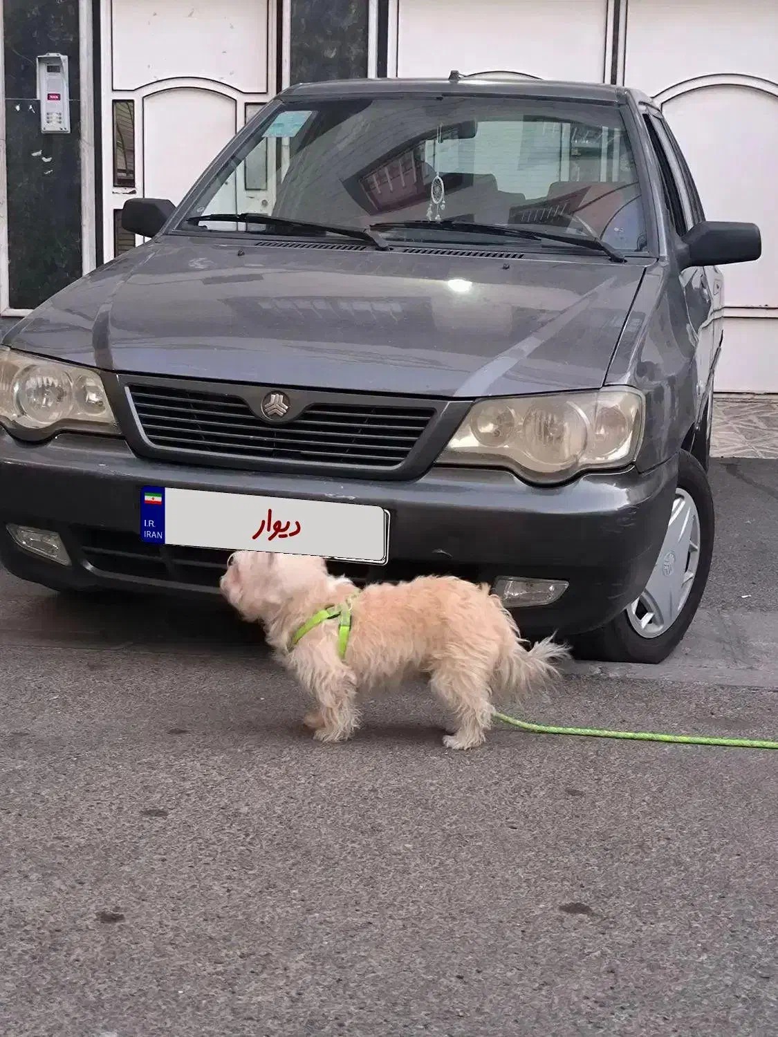 111 مدل93|خودرو سواری و وانت|فردیس, ثابتی|دیوار