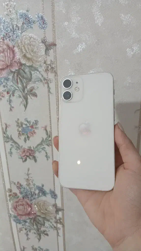 آیفون 12mini|موبایل|اصفهان, باغ نگاره|دیوار