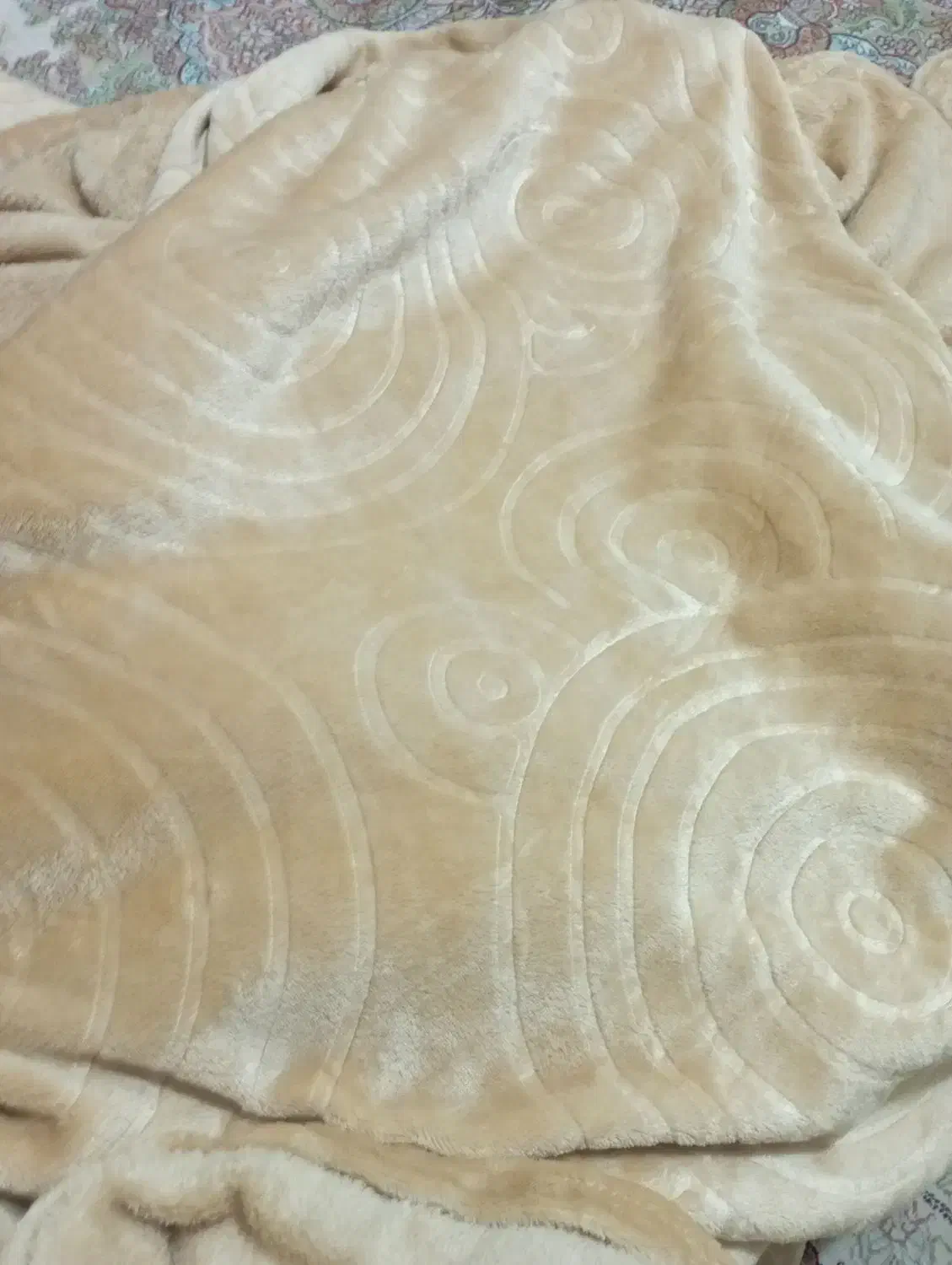 رو تختی تک نفری دو عدد|سرویس روتختی|تبریز, |دیوار