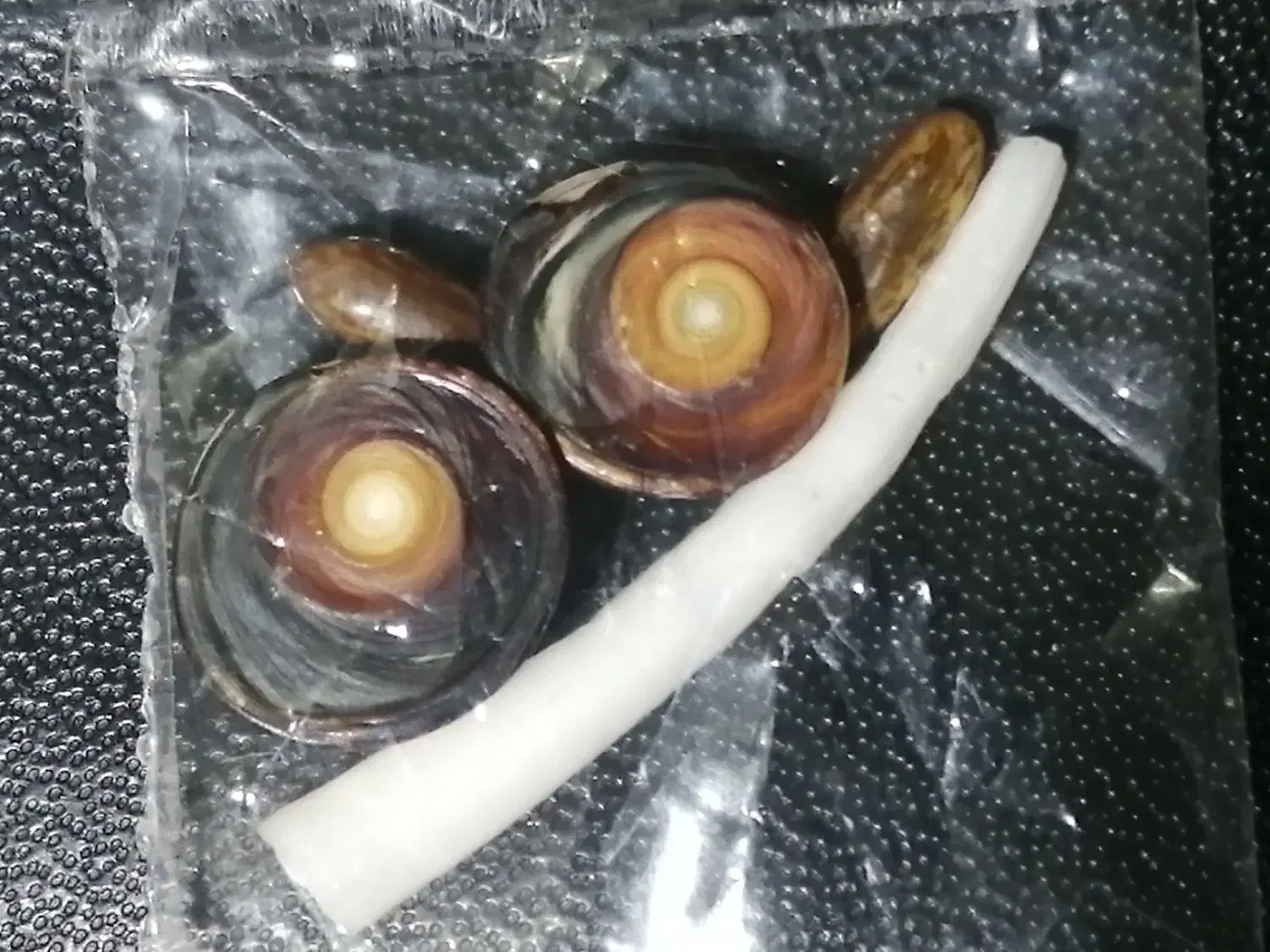 نگین انگشتر|جواهرات|آبادان, |دیوار