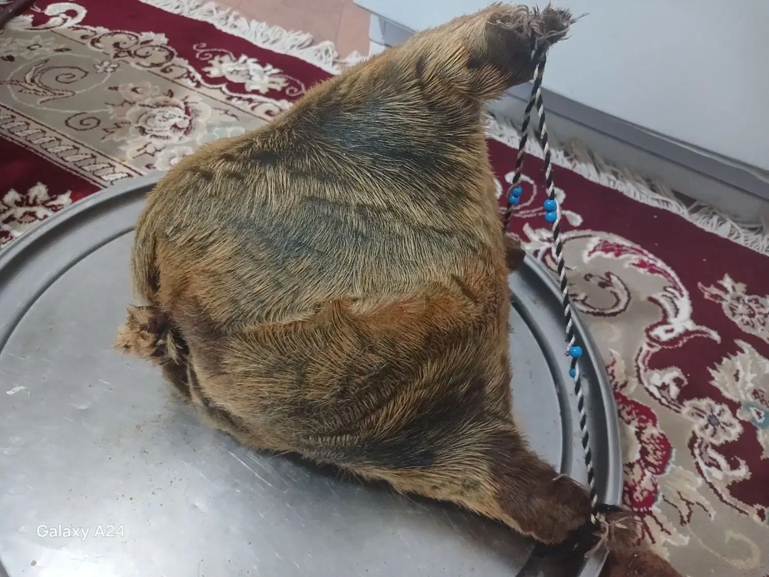 هیزه معاوضه با روغن|ظروف نگهدارنده، پلاستیکی، یک‌بارمصرف|کوهدشت, |دیوار