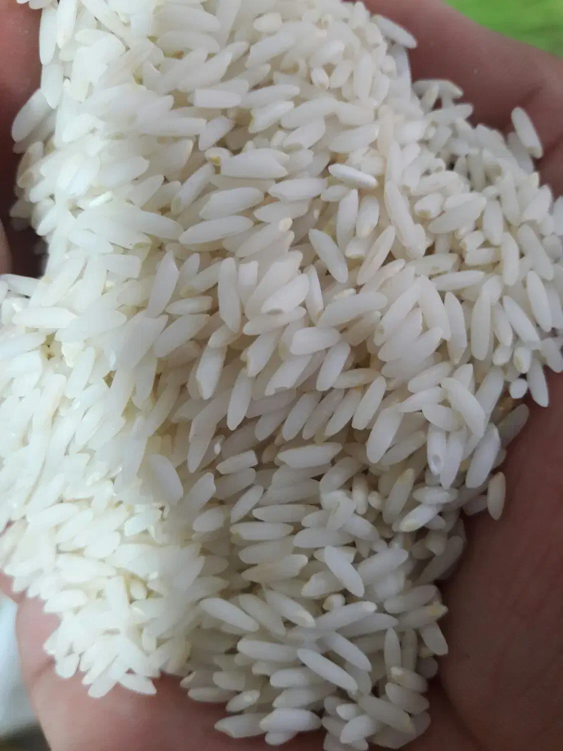 برنج ممان میانه عطری درجه یک|خوردنی و آشامیدنی|بهارستان, |دیوار