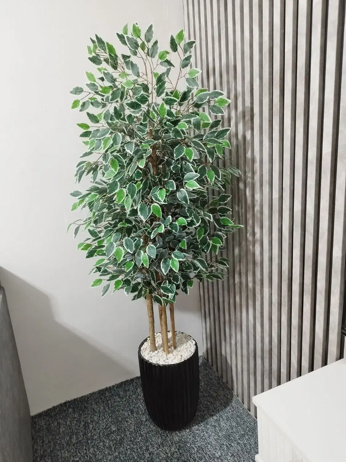 درختچه بنجامین با گلدان بزرگ مدل جدید|گل مصنوعی|اهواز, حصیرآباد|دیوار