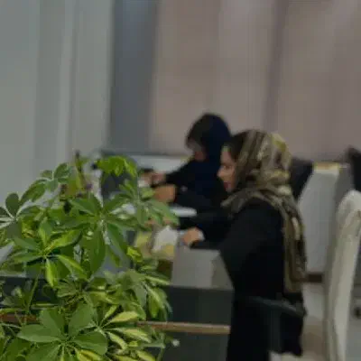 تولید محتوا و ادمینی حرفه ای پیج|خدمات رایانهای و موبایل|شیراز, تاچارا|دیوار