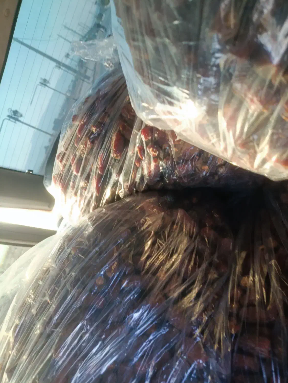 خرمای پیارم|خوردنی و آشامیدنی|جهرم, |دیوار