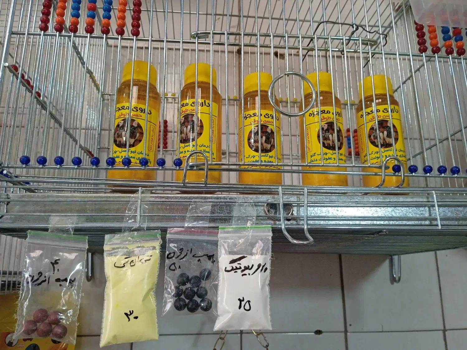 پرنده|پرنده|مشهد, همت آباد|دیوار