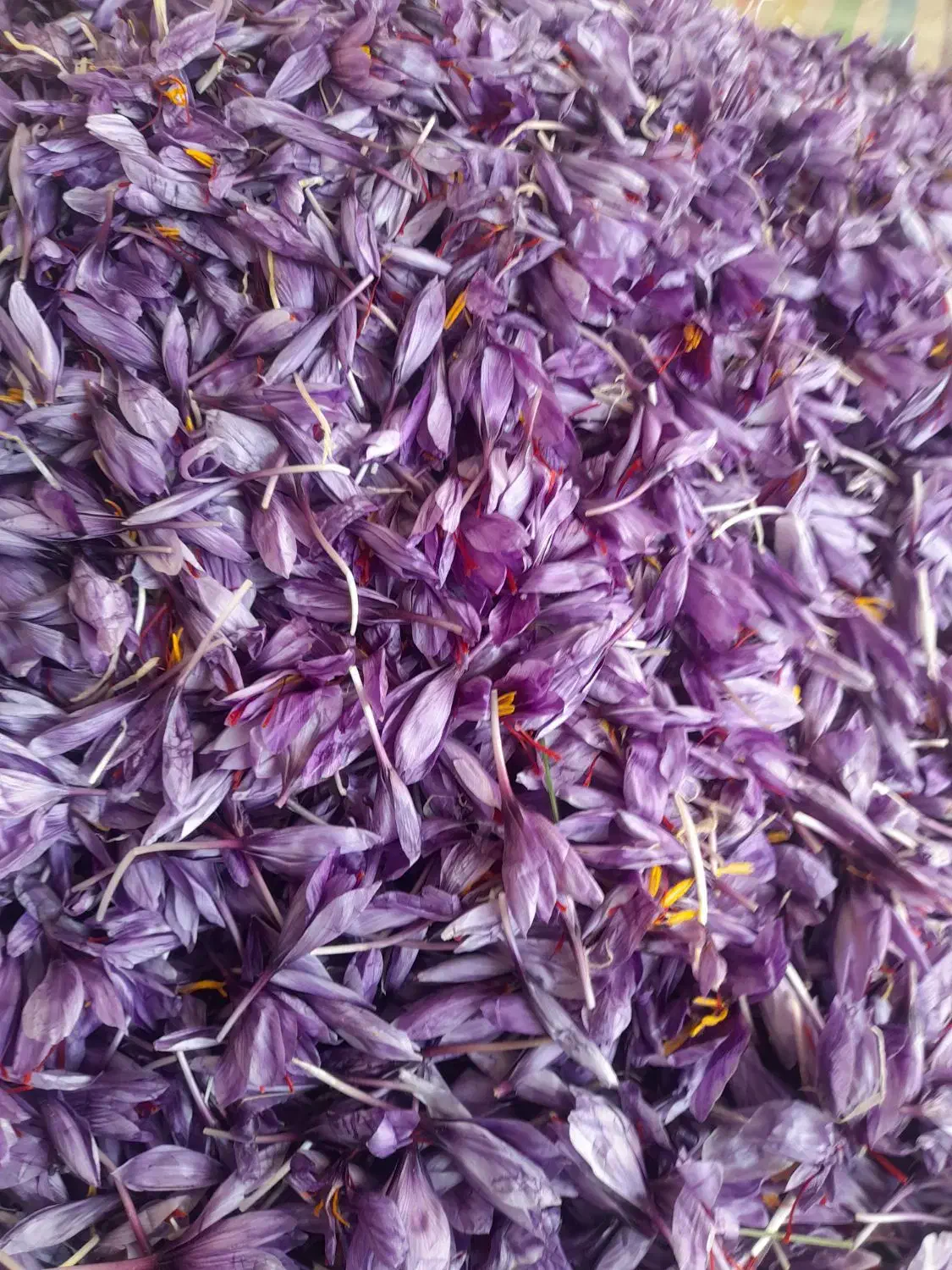 گل زعفران|خوردنی و آشامیدنی|تربت‌حیدریه, جانبازان|دیوار