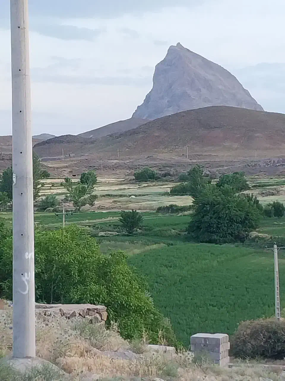 زمین فروشی|فروش زمین و ملک کلنگی|دهج, |دیوار