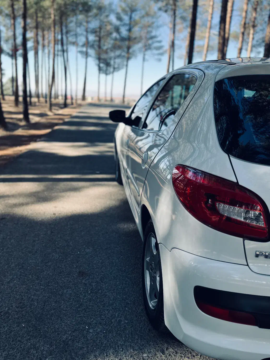 پژو ۲۰۷ پانا ۱۴۰۰|خودرو سواری و وانت|بیرجند, |دیوار