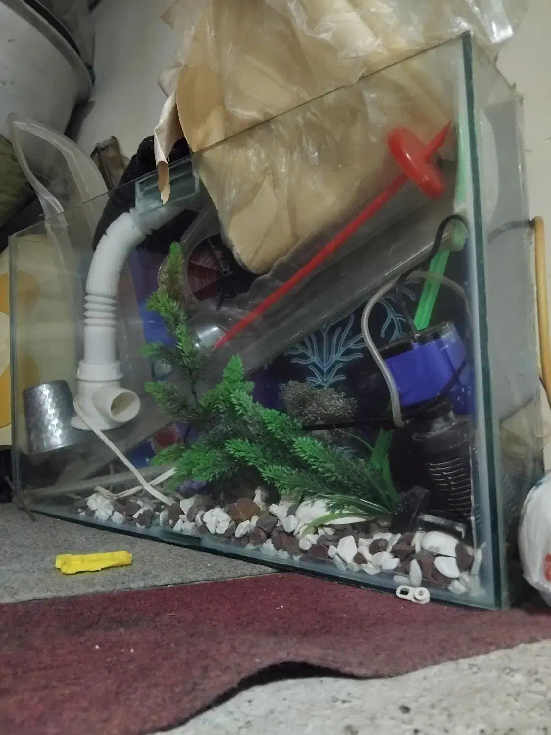 آکواریوم ماهی|ماهی|مشهد, تلگرد|دیوار