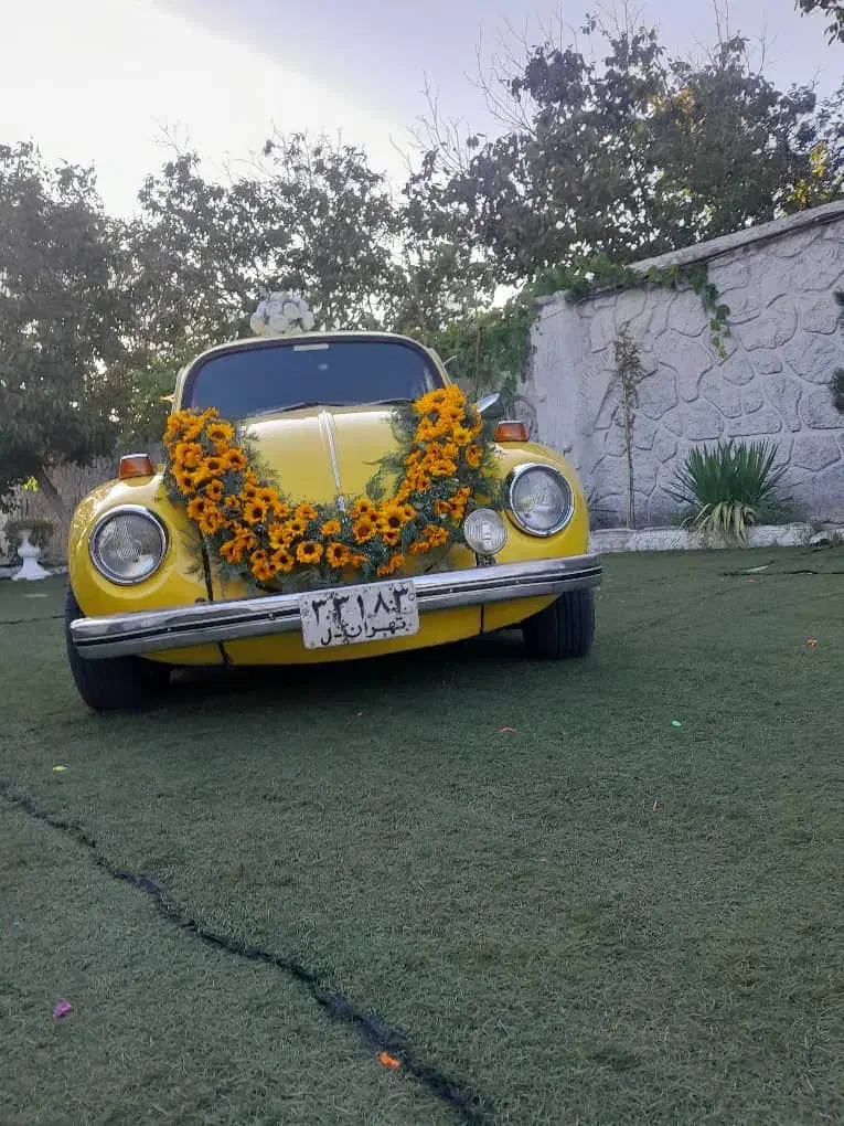 تالار|خدمات پذیرایی، مراسم|تبریز, |دیوار