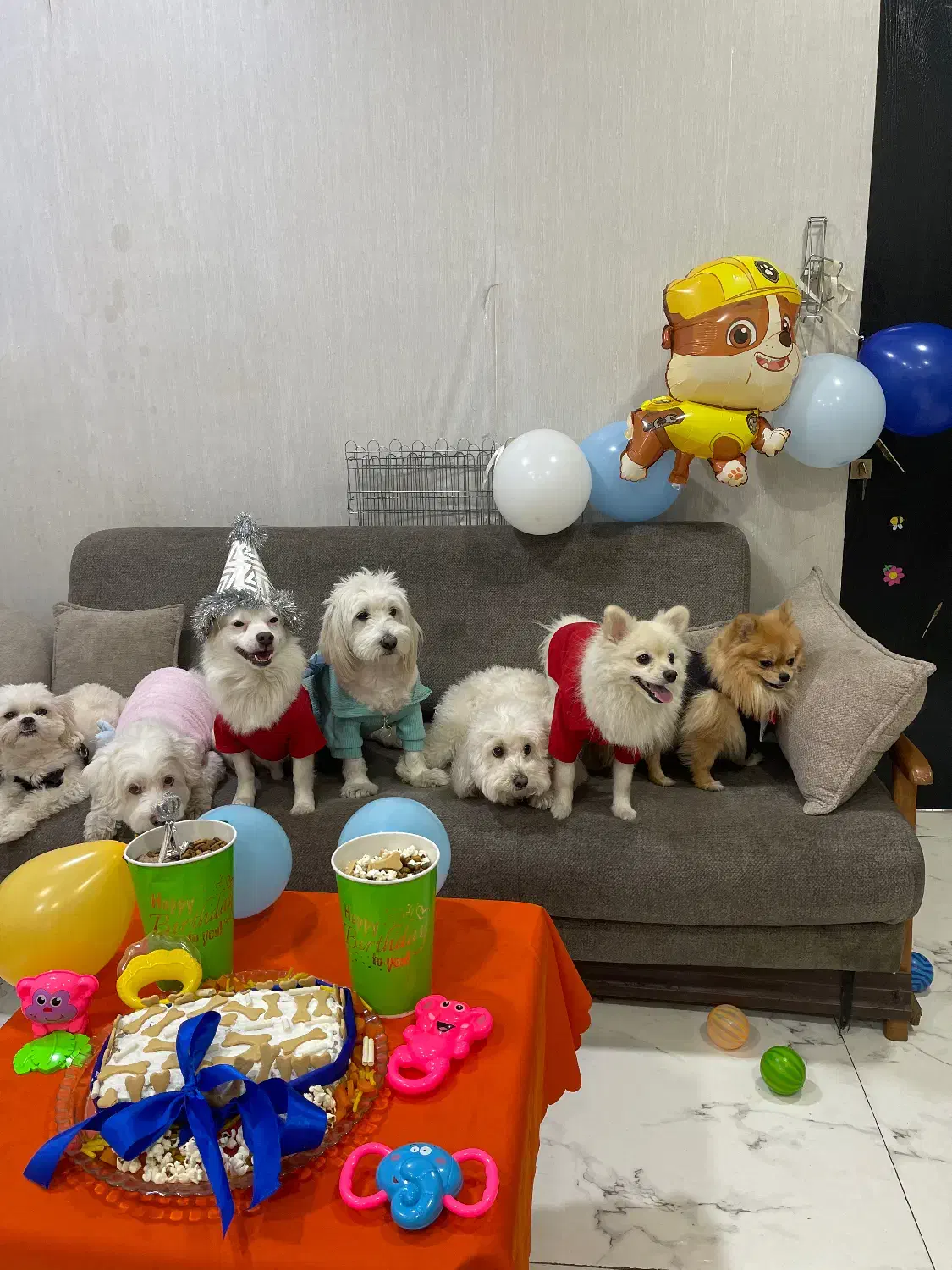 کارگر ساده پانسیون سگ|استخدام سرایداری و نظافت|تهران, دریا|دیوار