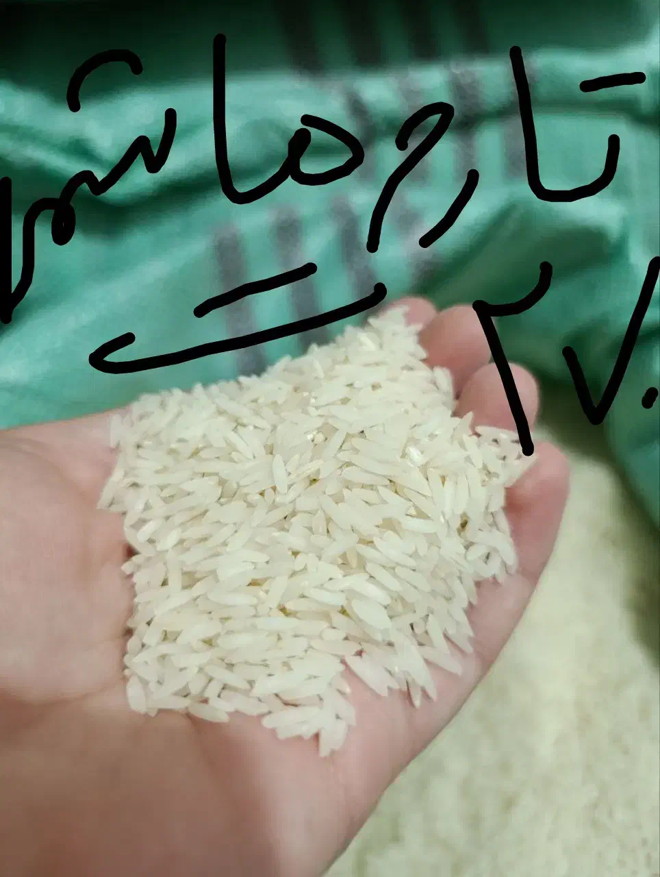 برنج|خوردنی و آشامیدنی|بندر ترکمن, |دیوار