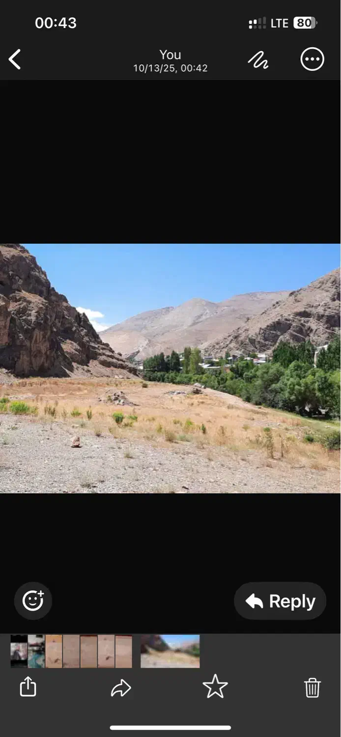 زمین هشت هزارمتری شهر بلده|فروش زمین و ملک کلنگی|بلده, |دیوار