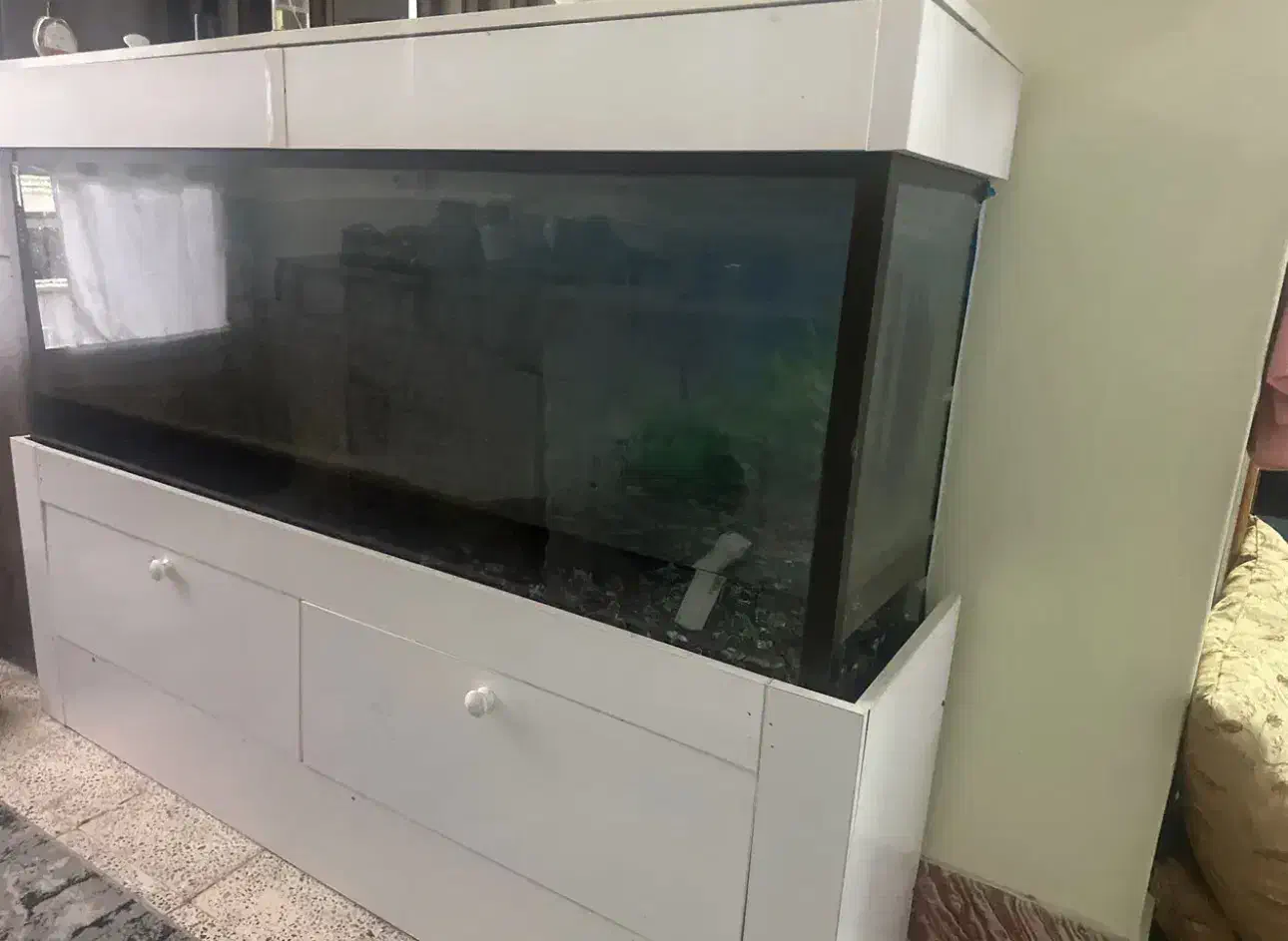 اکواریوم|ماهی|شاهرود, |دیوار