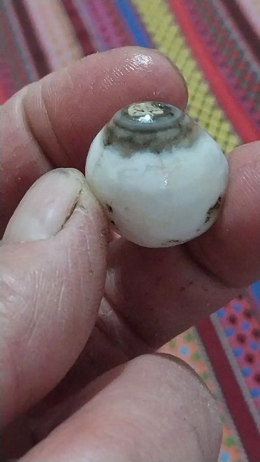 باباقوری سلطانی بسیارزیبا وچشم نواز|جواهرات|بیرجند, |دیوار