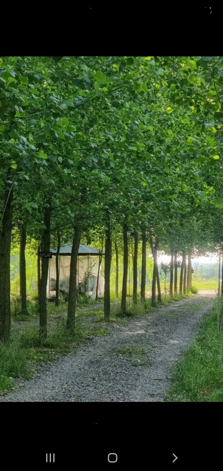 طبیعت گردی|گردهمایی و همایش|قزوین, |دیوار