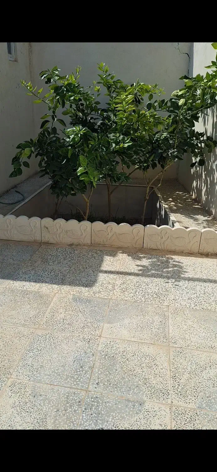 خونه باغ فروشی|فروش خانه و ویلا|زید آباد, |دیوار