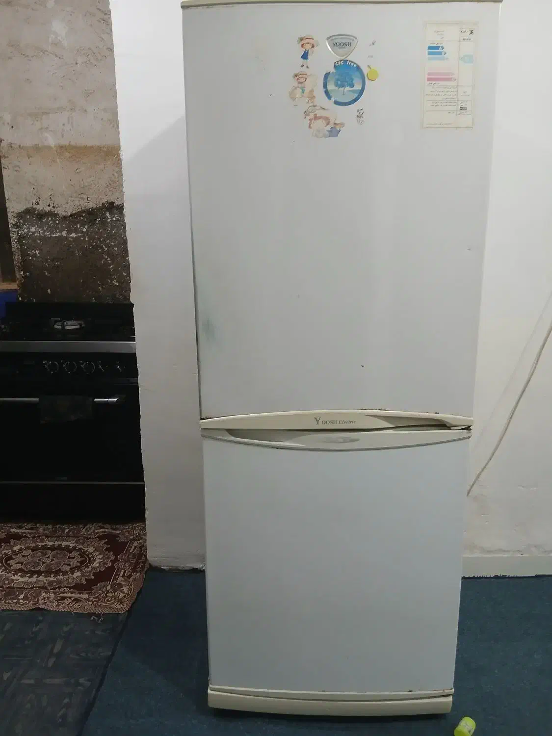 یخچال ،فریزرصندوقی|یخچال و فریزر|چغادک, |دیوار