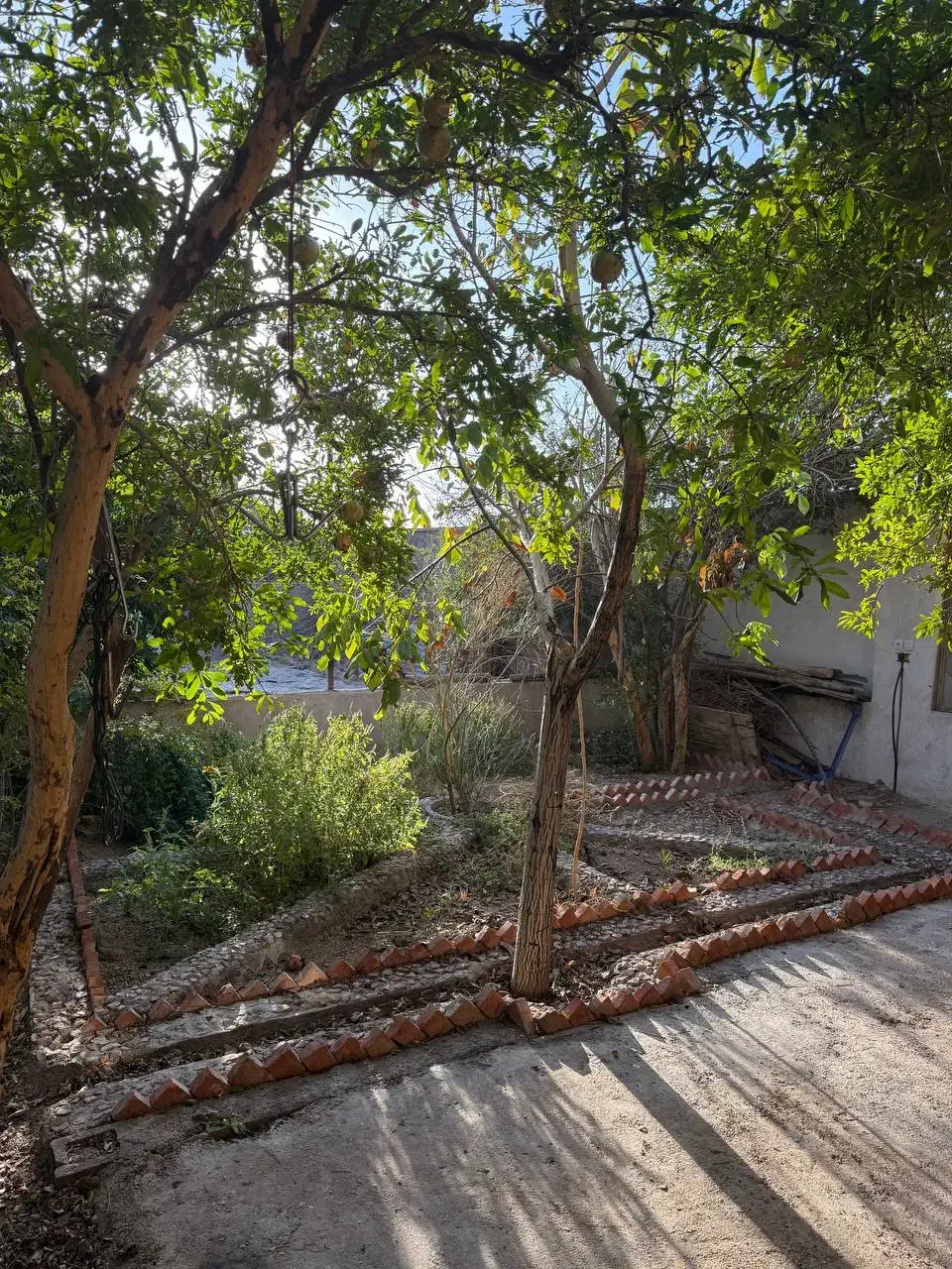 خونه باغ تجاری مسکونی|فروش خانه و ویلا|آباده, |دیوار