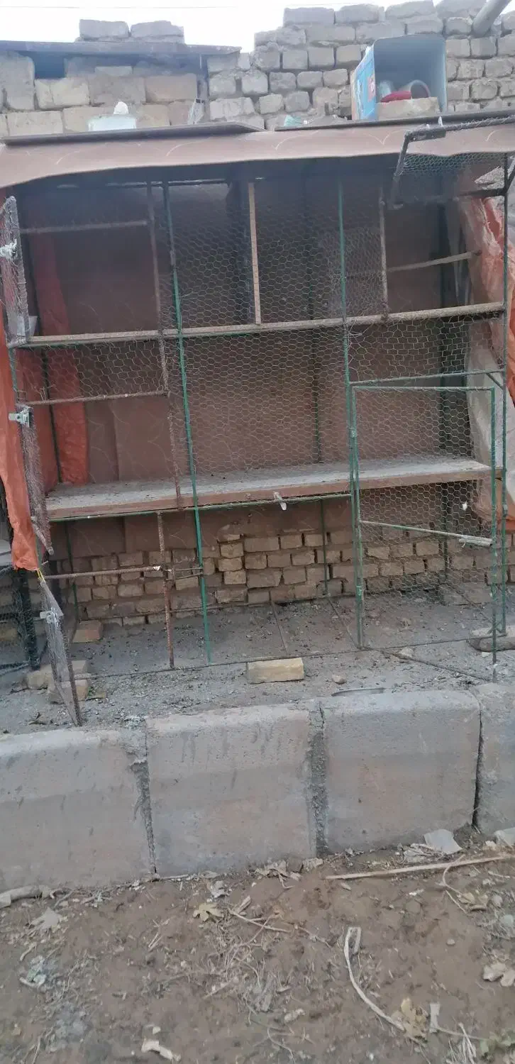 قفس|لوازم جانبی حیوانات|اردکان, |دیوار