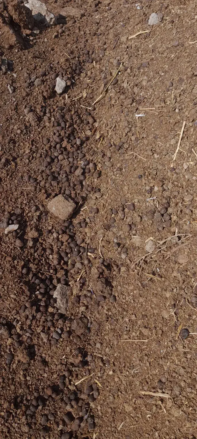 کود دامی گوسفندی  گاوی ورمی تضمینی|لوازم جانبی حیوانات|رضویه, |دیوار