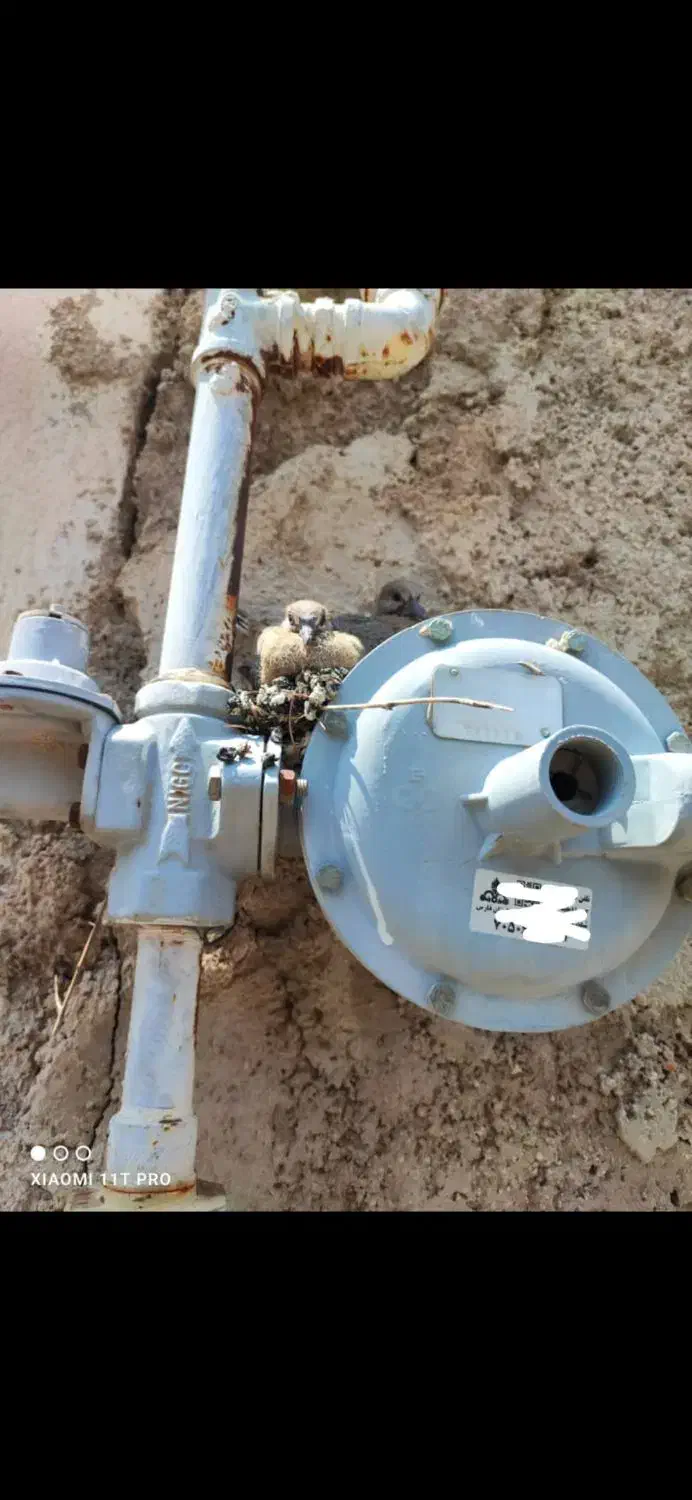 لوله کش گاز جوشکاری سیار|خدمات پیشه و مهارت|شیراز, کیان شهر|دیوار