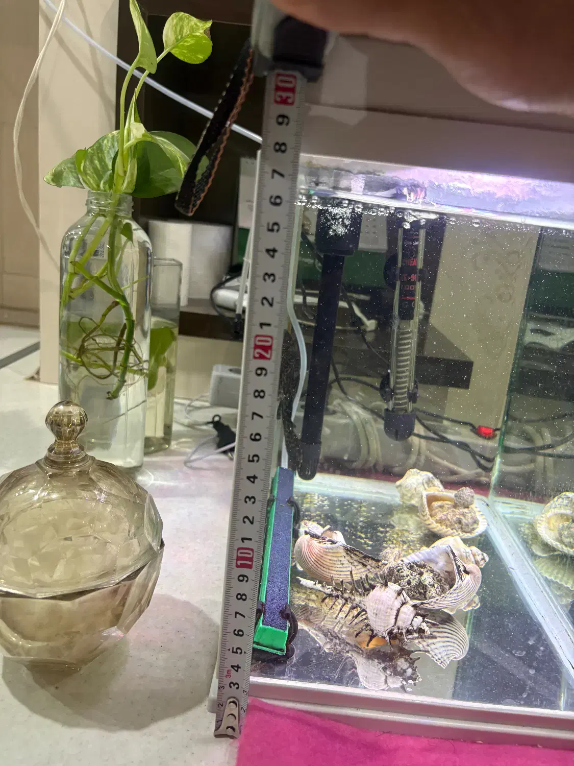 آکواریوم|ماهی|سبزوار, فرهنگیان|دیوار