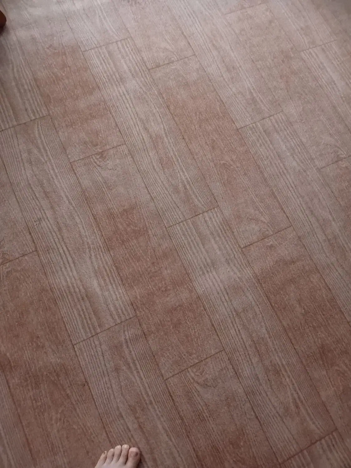 موکت طرح پارکت|موکت|مرند, |دیوار