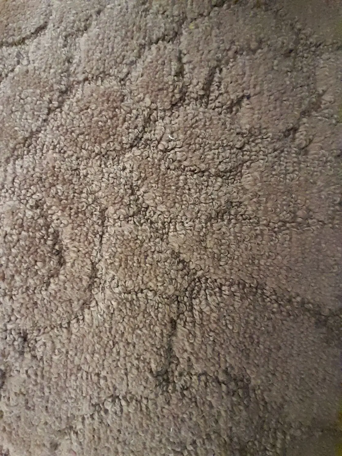 موکت ۶ متری|موکت|اصفهان, همدانیان|دیوار