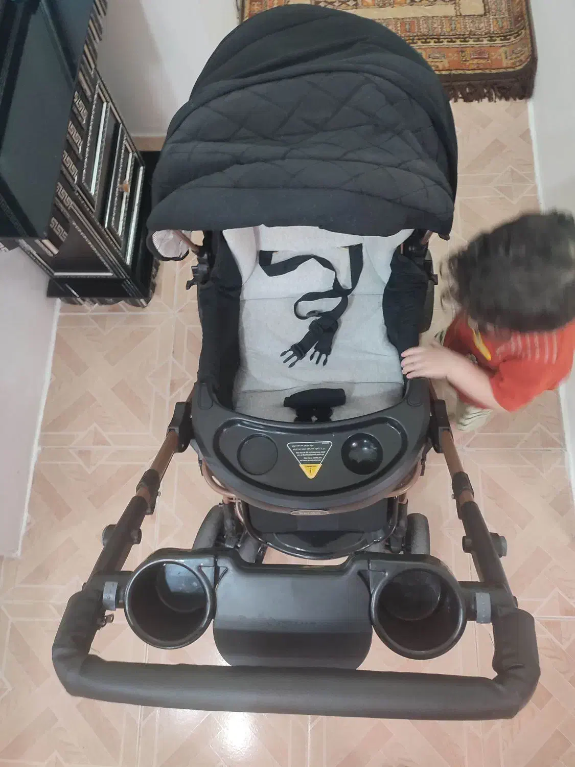 کالسکه دلیجان بنیتا|کالسکه و لوازم جانبی|بندر انزلی, جهانگانی|دیوار